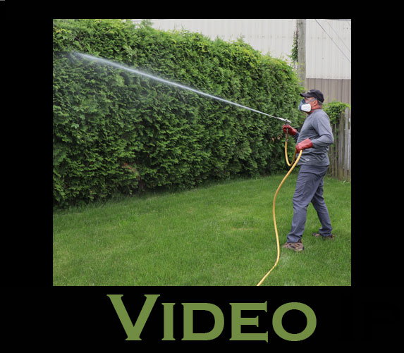 video-arrosage